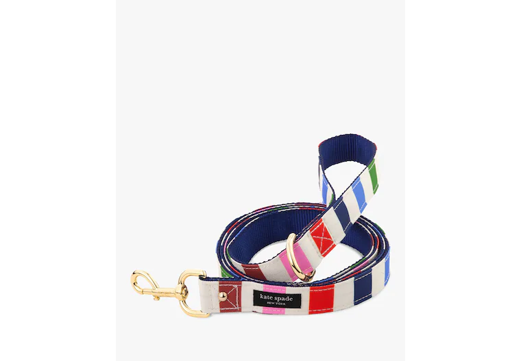 Adventure Stripe Small Dog Leash