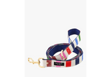 Adventure Stripe Small Dog Leash
