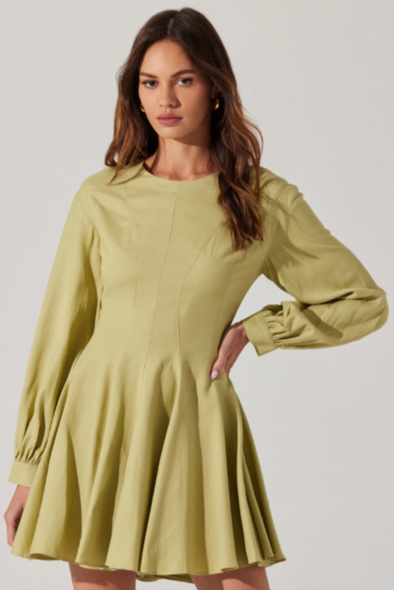 Elowyn Pleated Mini Dress