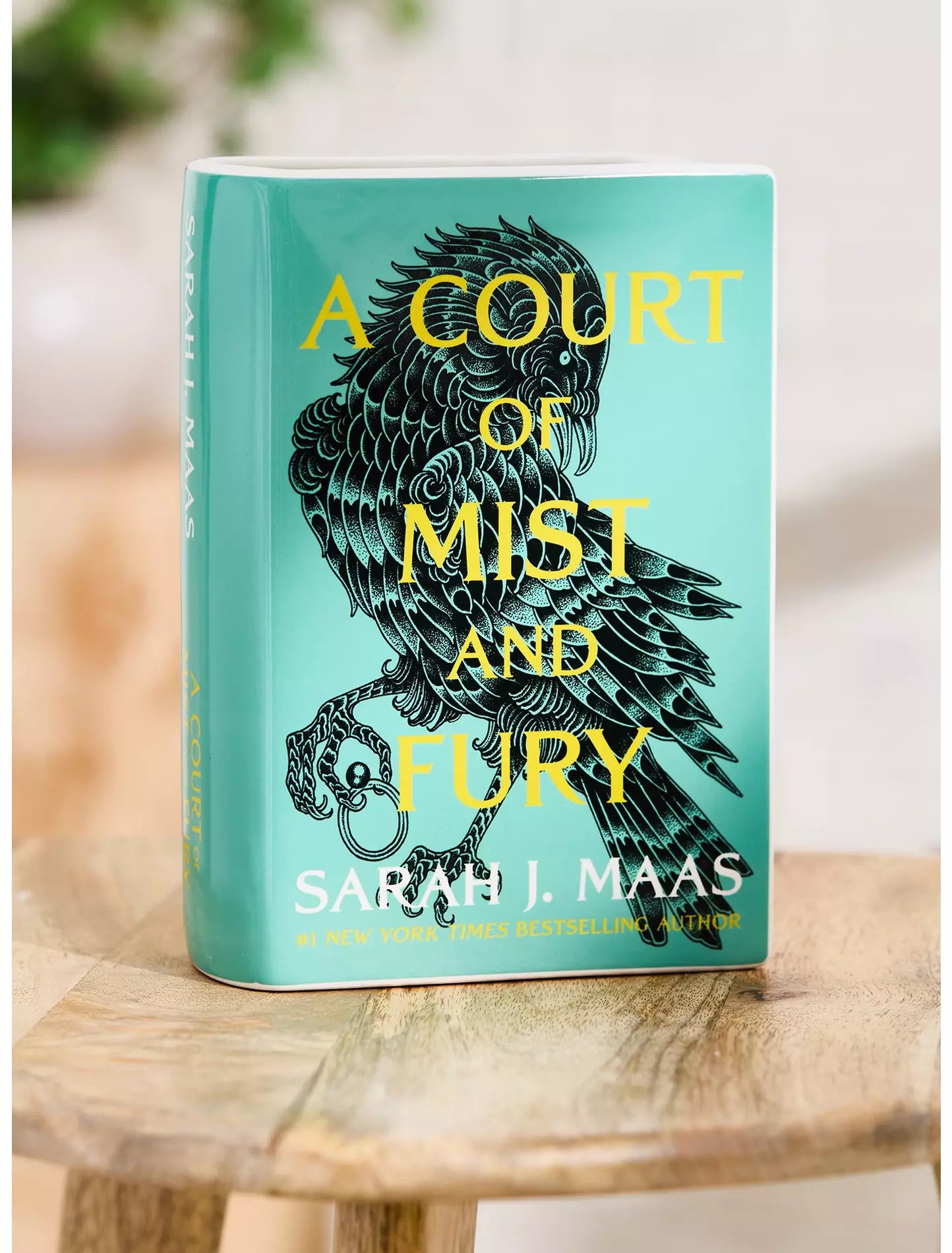 A Court of Mist and Fury Large Book Vase