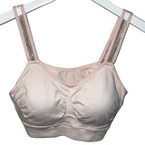 Pink Bra/Sheer