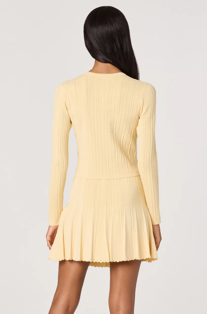 Tehya Mini Sweater Skirt